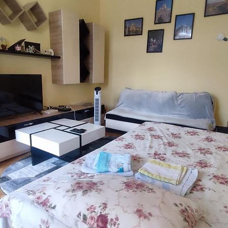 בראשוב Robert'S Apartment מראה חיצוני תמונה