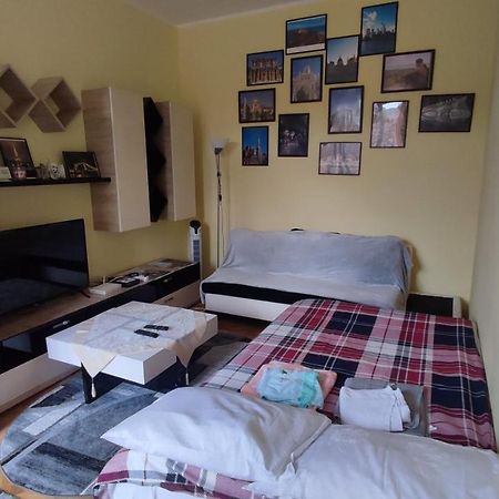 בראשוב Robert'S Apartment מראה חיצוני תמונה